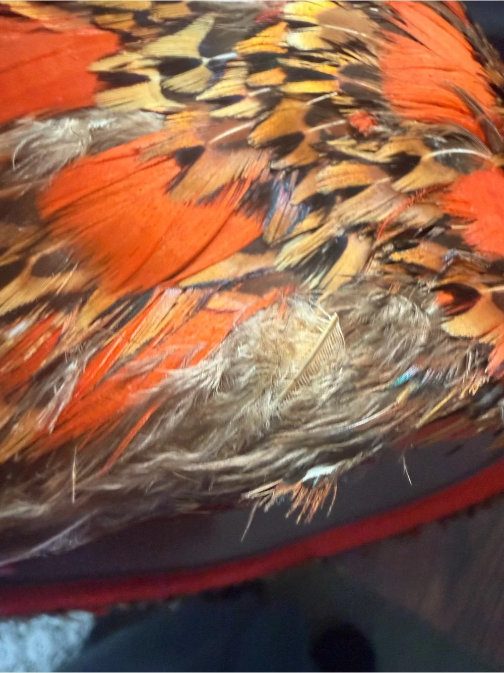 Vtg Mr. John Wool Orange Feathered Pillbox Hat for Women